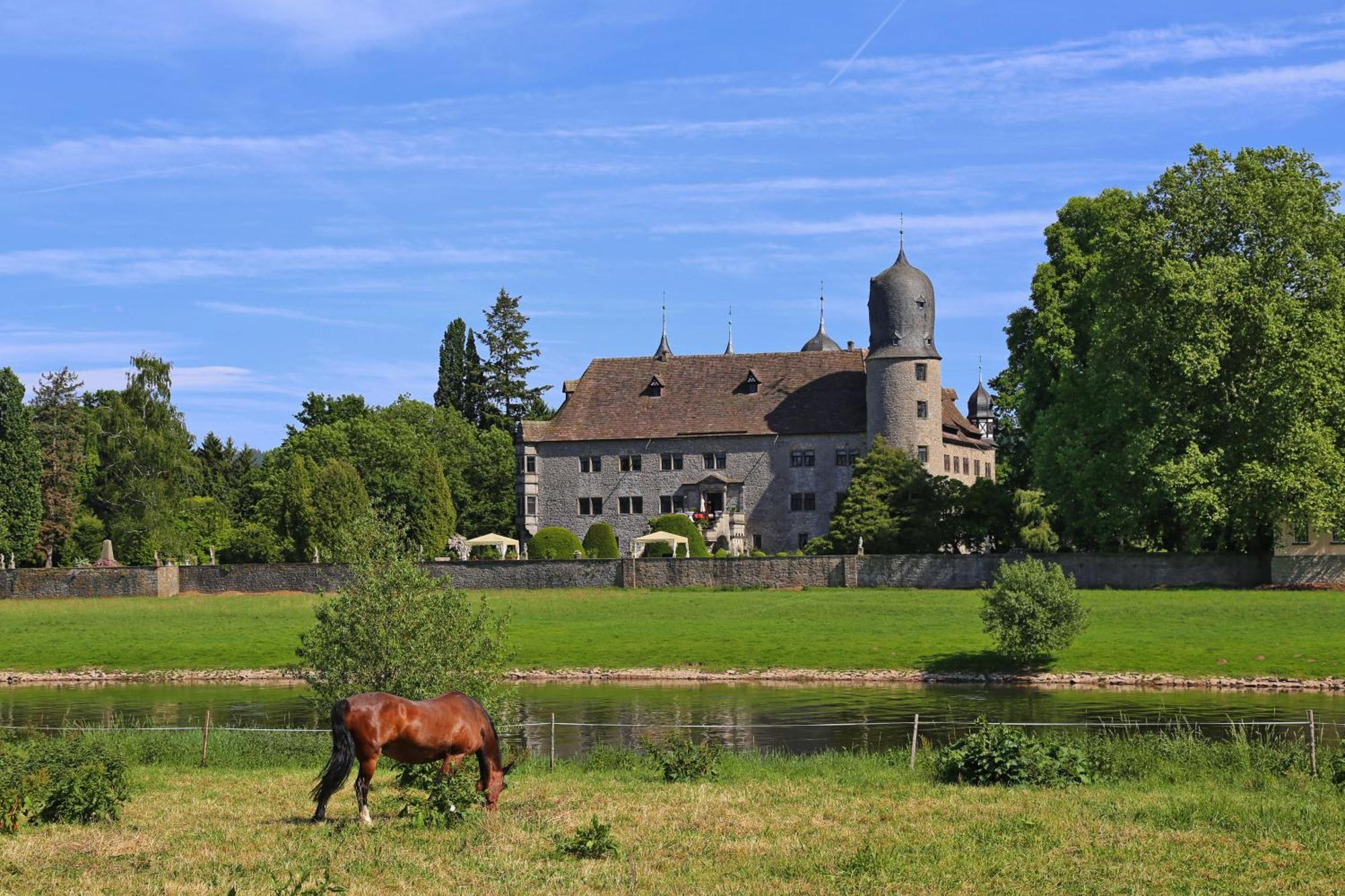 Ferienwohnungen Am Weserstrand Bodenwerder Buitenkant foto